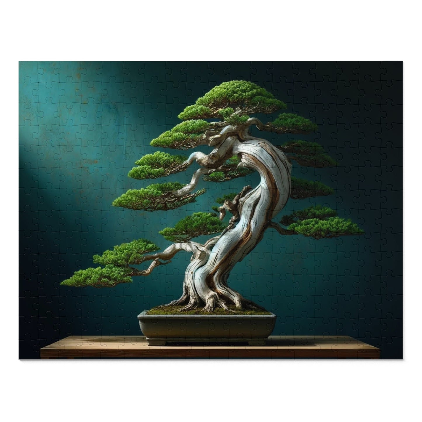 Ancient Roots, Modern Grace: Shimpaku Bonsai Elegance