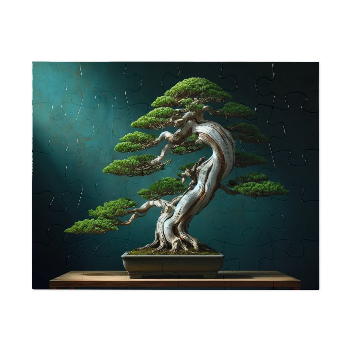 Ancient Roots, Modern Grace: Shimpaku Bonsai Elegance