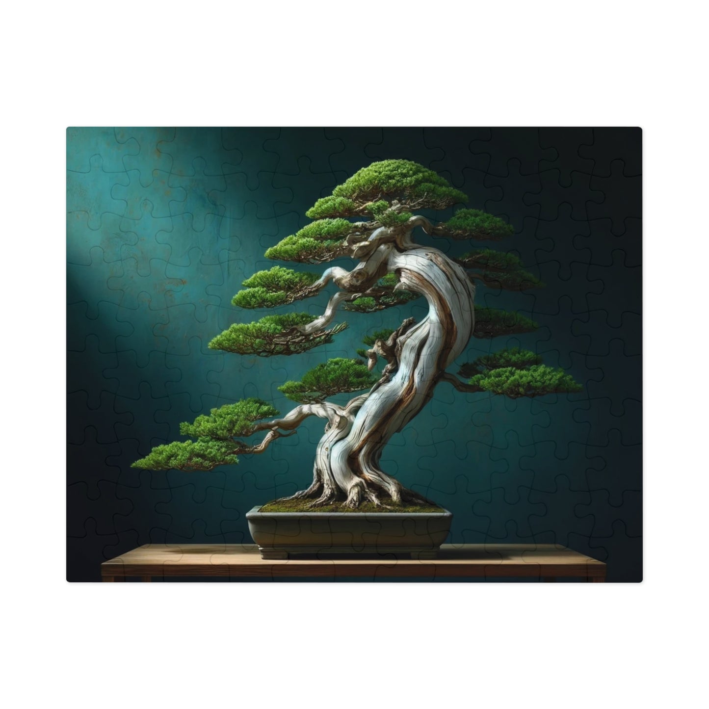 Ancient Roots, Modern Grace: Shimpaku Bonsai Elegance
