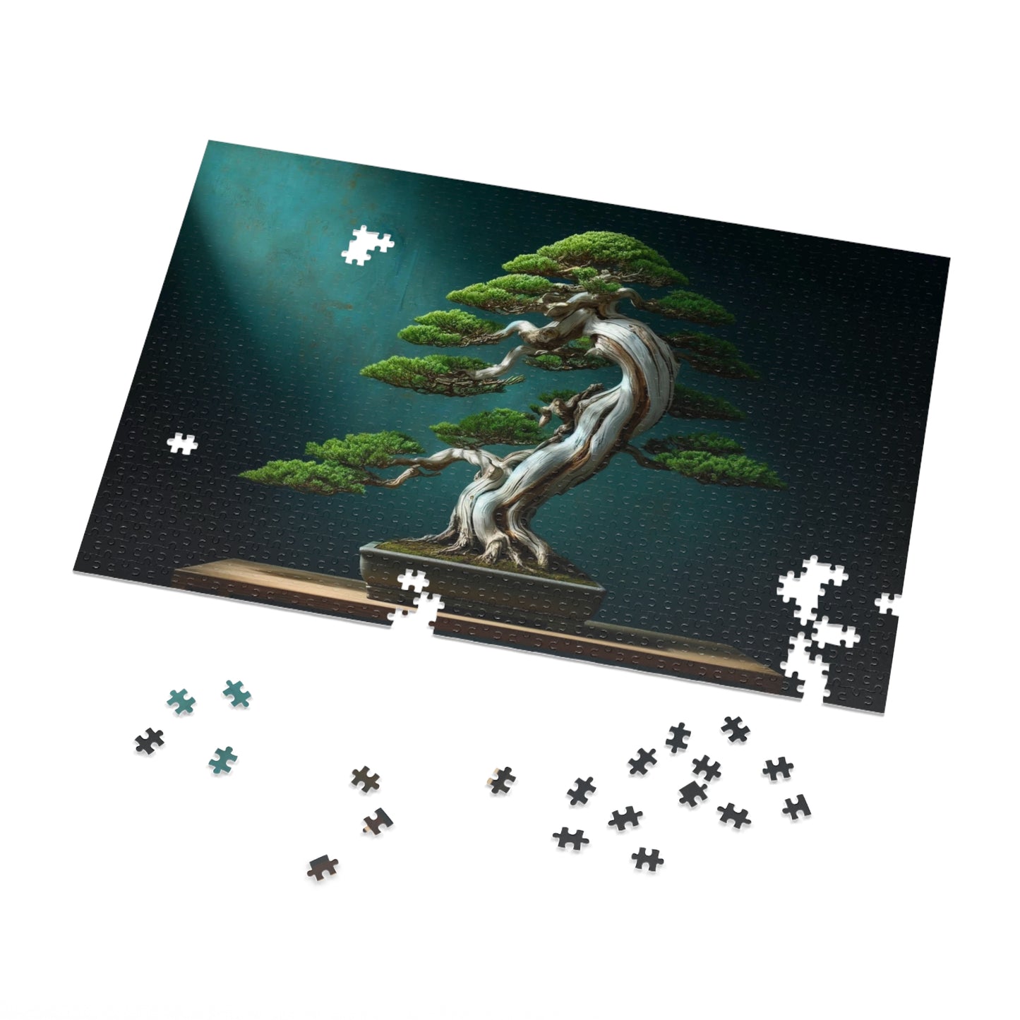 Ancient Roots, Modern Grace: Shimpaku Bonsai Elegance