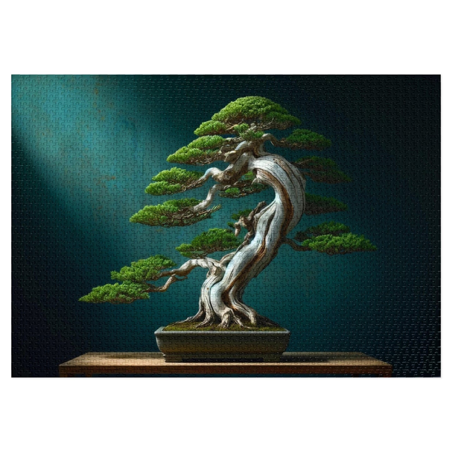 Ancient Roots, Modern Grace: Shimpaku Bonsai Elegance