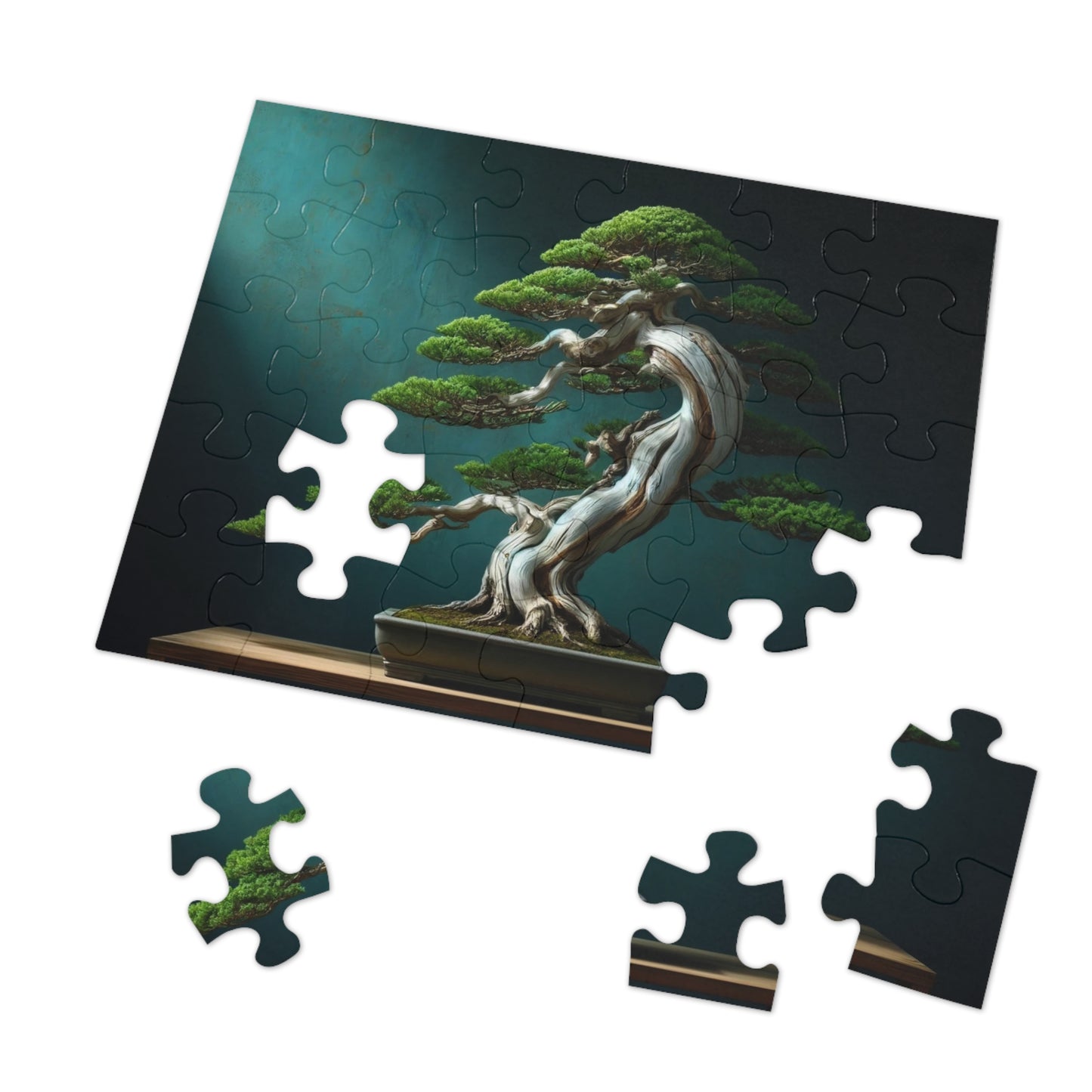 Ancient Roots, Modern Grace: Shimpaku Bonsai Elegance