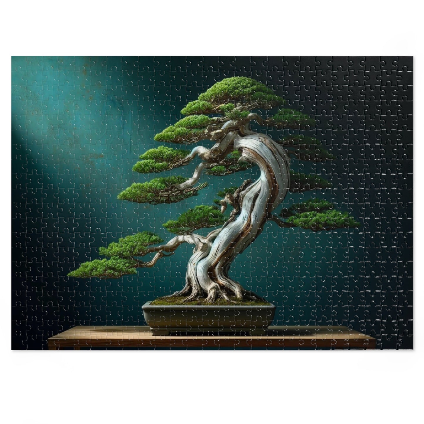 Ancient Roots, Modern Grace: Shimpaku Bonsai Elegance