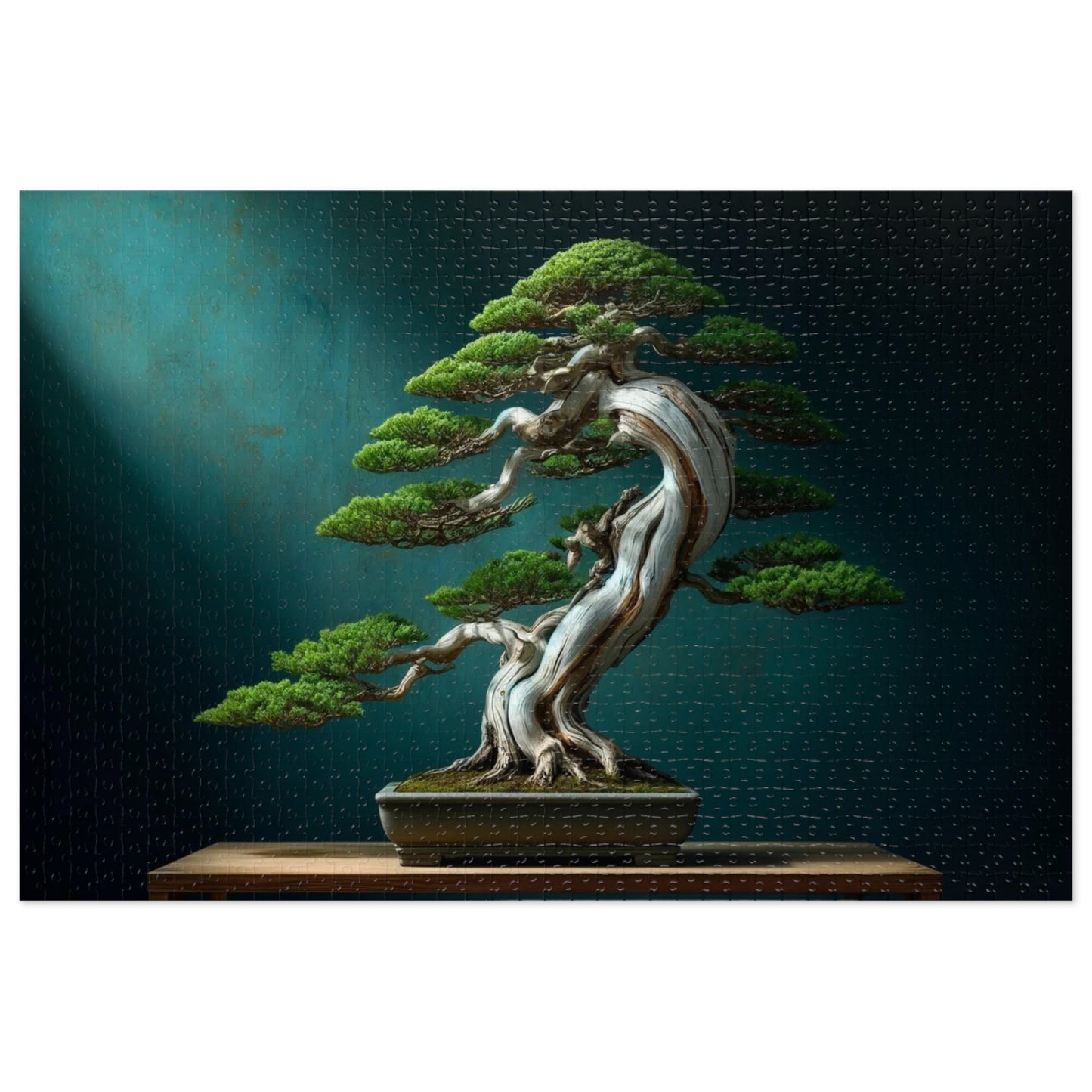 Ancient Roots, Modern Grace: Shimpaku Bonsai Elegance