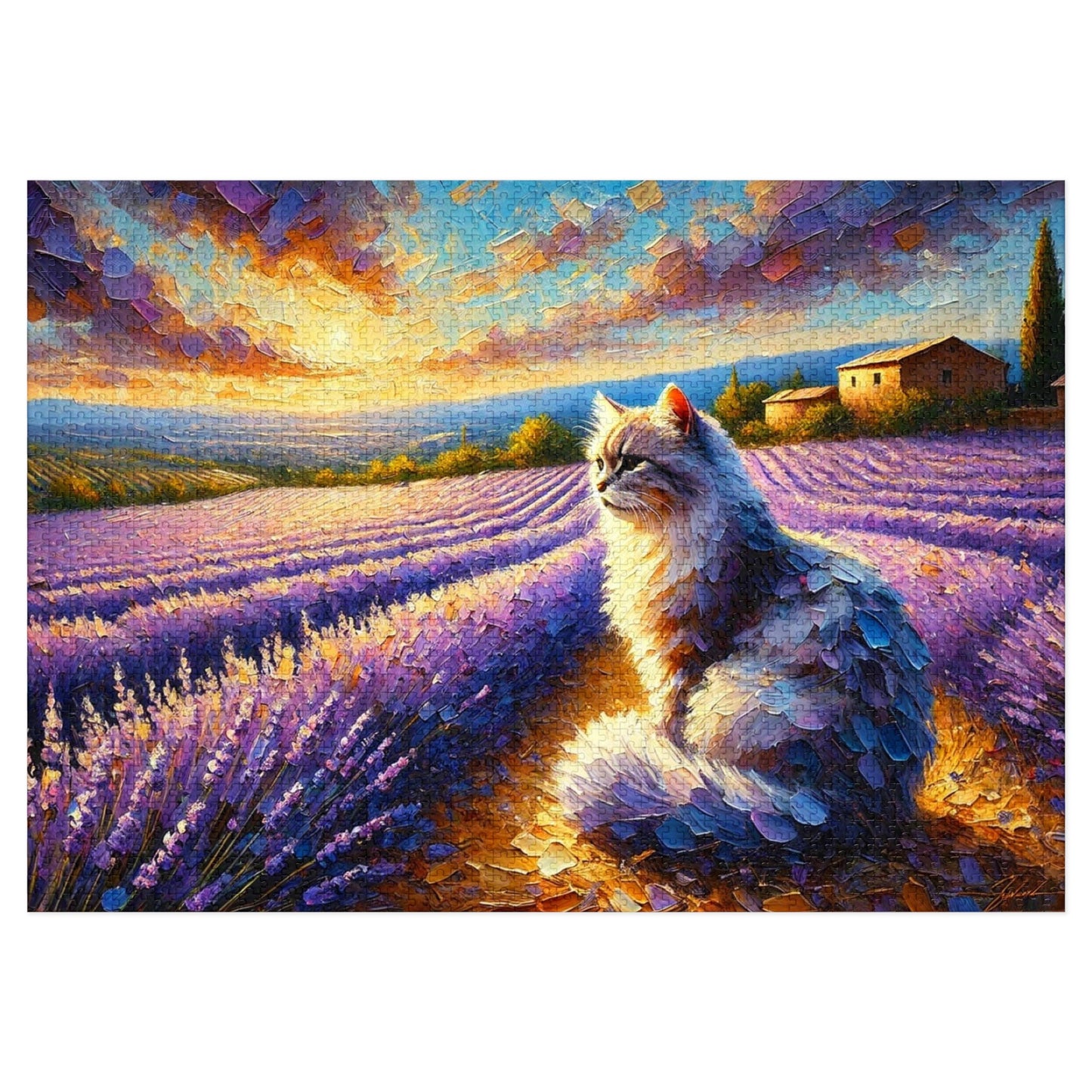 A Cat Among the Lavender Fields in Provence