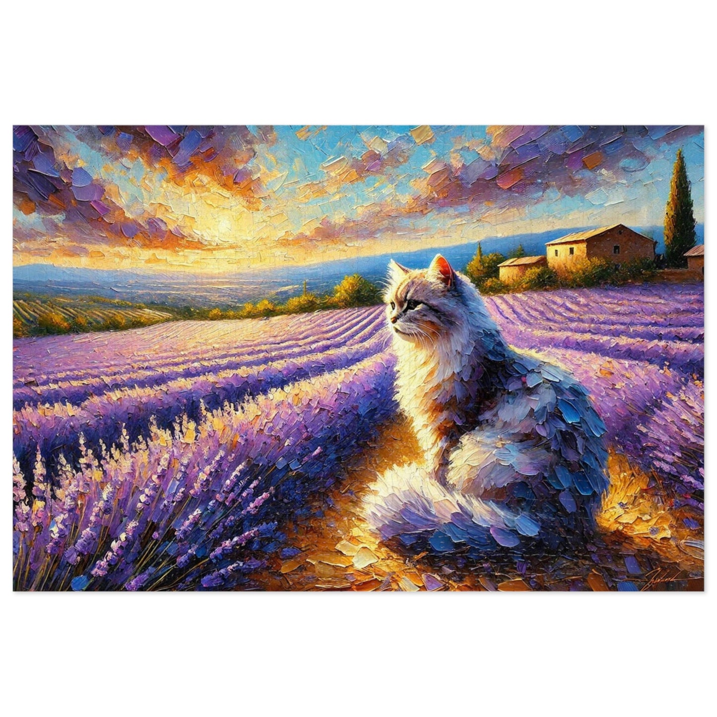 A Cat Among the Lavender Fields in Provence