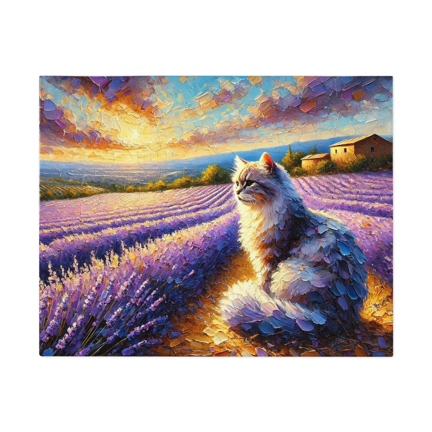 A Cat Among the Lavender Fields in Provence